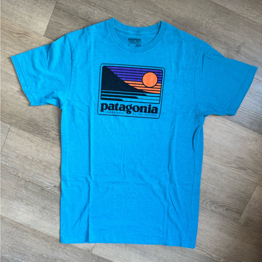 Patagonia Logo Graphic Tee - Men’s M